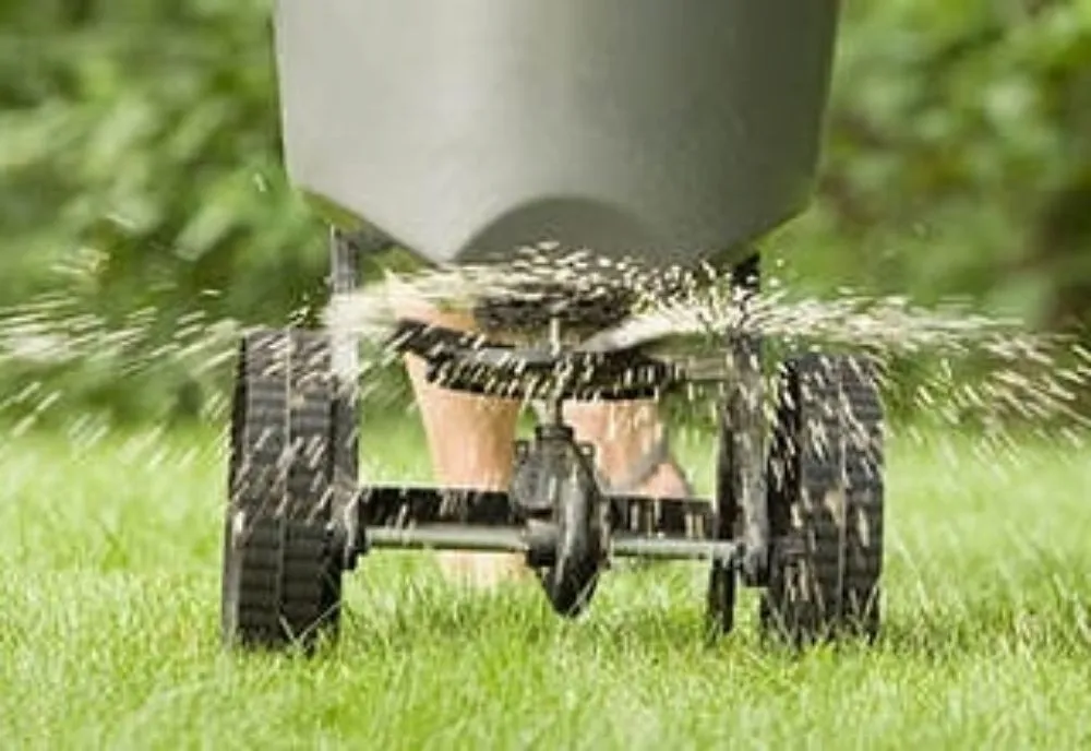 Professional landscape design in Grants Pass, OR by McLean's Core Services