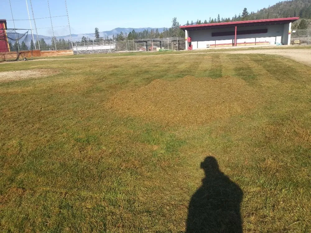 Professional lawn care service for outdoor upgrades across Grants Pass, OR - McLean's Core Services