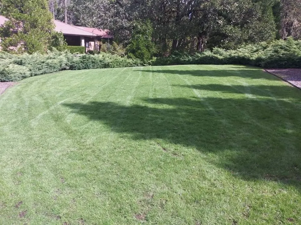 Top-rated outdoor landscaping in Grants Pass, OR - McLean's Core Services