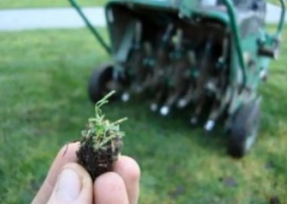 Affordable yard cleanup service in Grants Pass, OR - McLean's Core Services