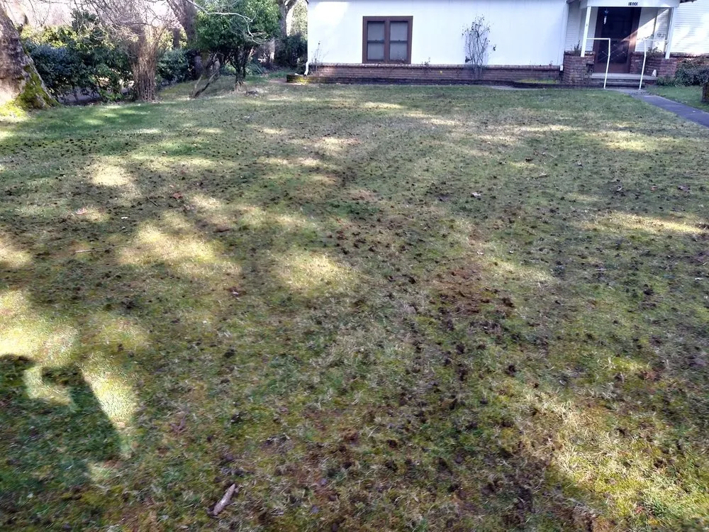 Top-rated residential landscaping experts serving Grants Pass, OR - McLean's Core Services