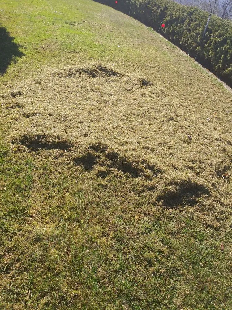 Reliable garden landscaping with custom design in Grants Pass, OR by McLean's Core Services