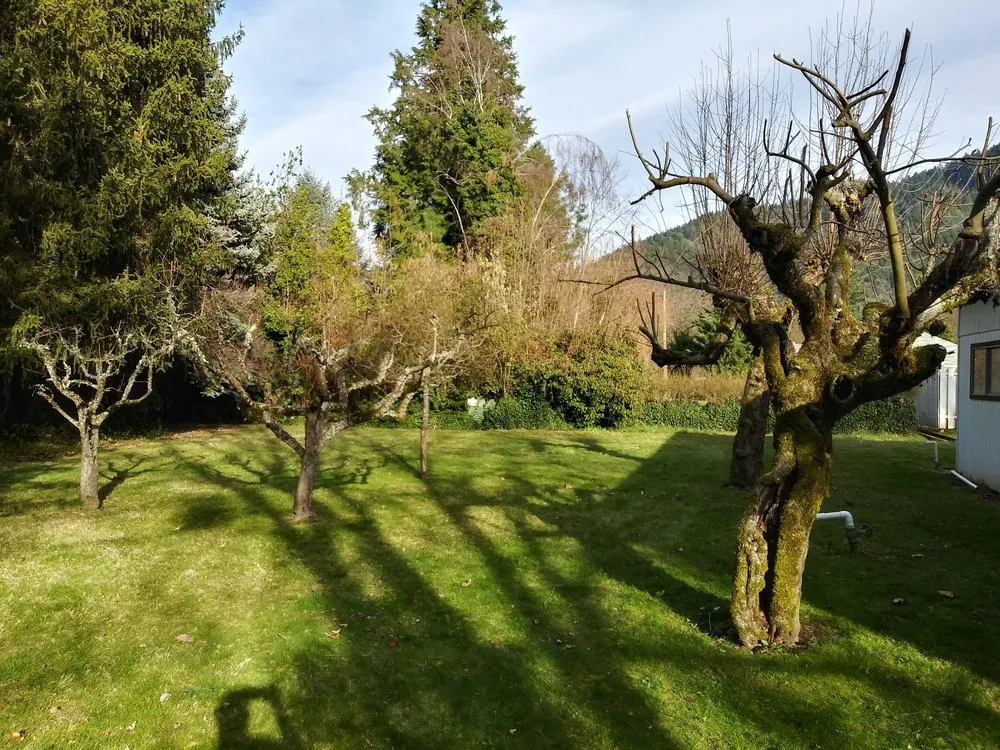 Reliable garden landscaping for homes in Grants Pass, OR by McLean's Core Services