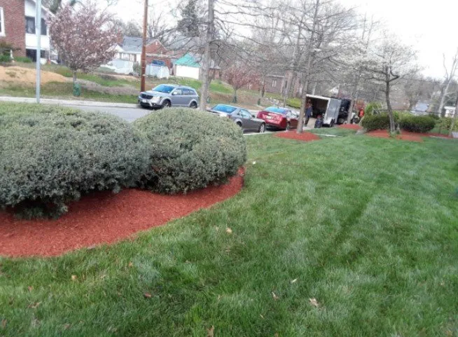 Professional yard cleanup service in Beltsville, MD - Mclean's Landscaping General Contracting