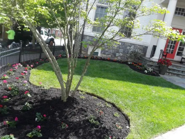 Professional outdoor landscaping in Beltsville, MD by Mclean's Landscaping General Contracting