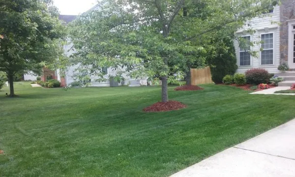 Professional yard maintenance for homes across Beltsville, MD - Mclean's Landscaping General Contracting