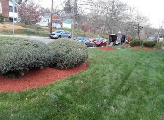 Mclean's Landscaping General Contracting Logo