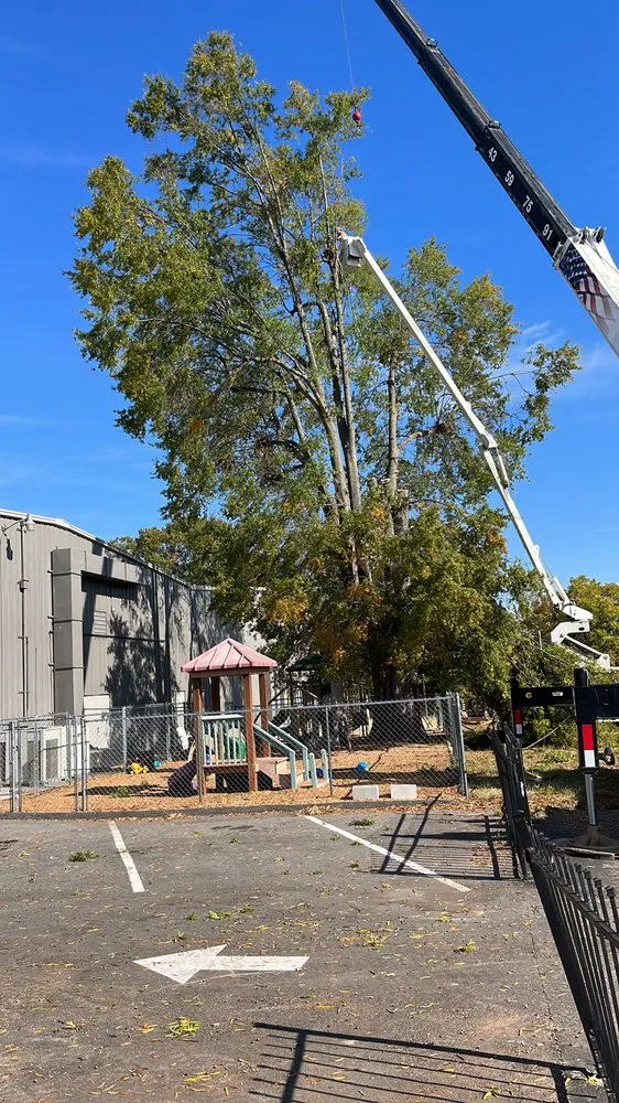 Trusted lawn care service in Gastonia, NC by McLean’s LandWorks