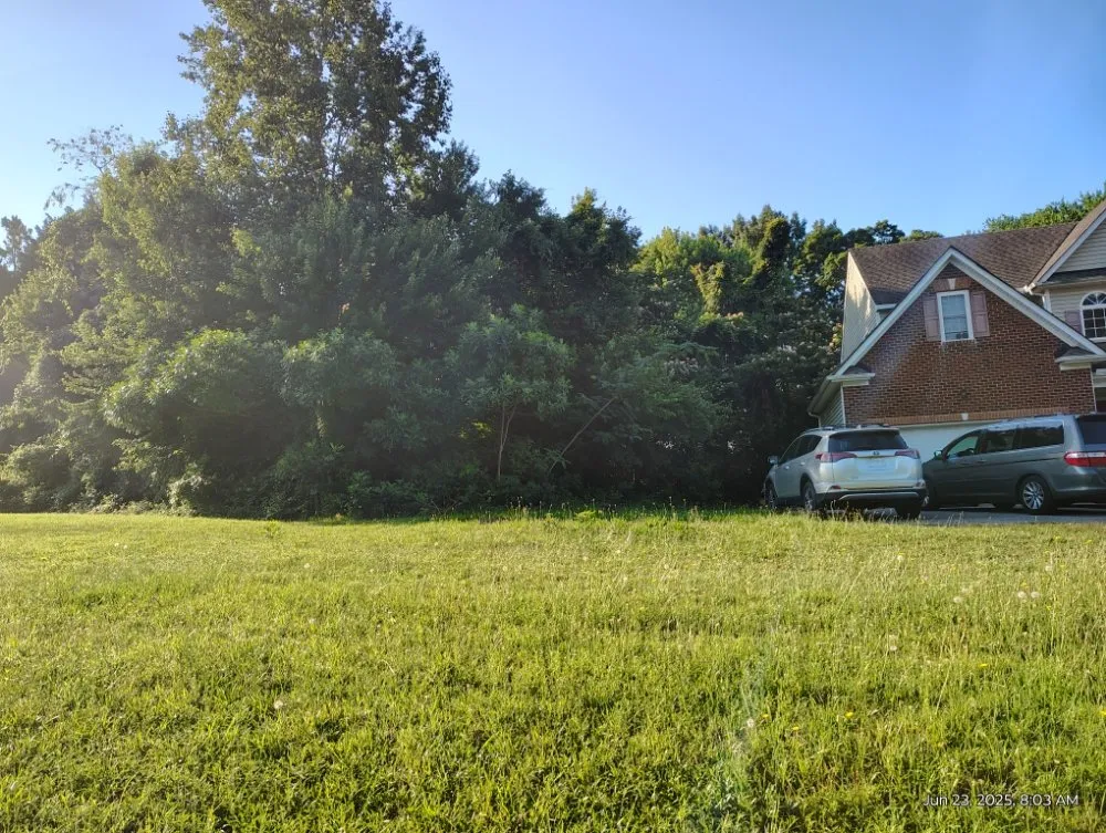 Custom lawn mowing service with custom design in Richmond, VA by Mclean's Lawn Care