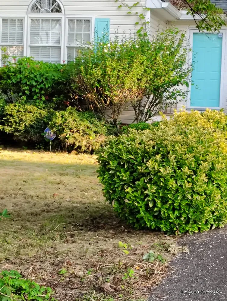 Trusted landscape design in Richmond, VA by Mclean's Lawn Care