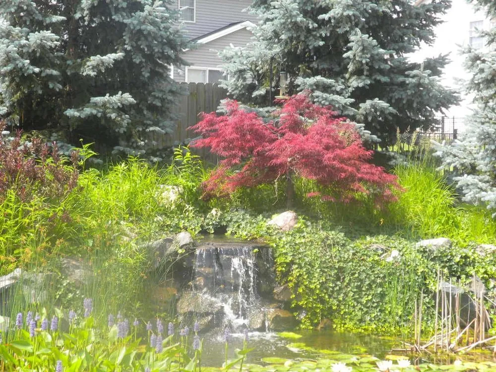 Custom outdoor landscaping experts serving Bloomington, IL - McLeese Landscapes