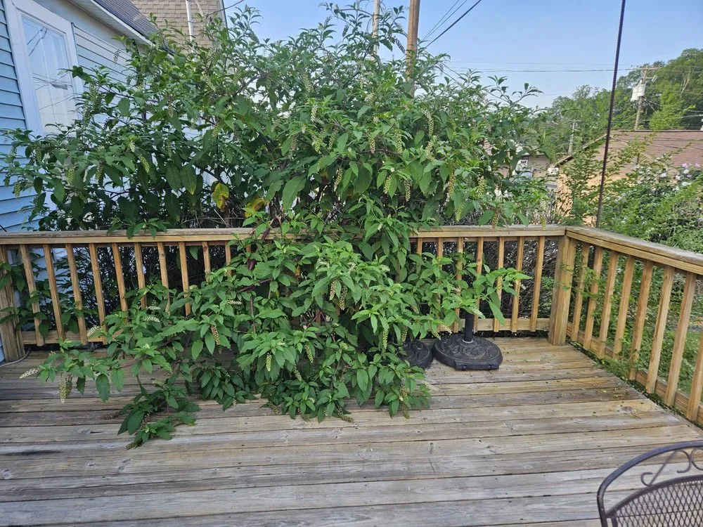 Top-rated lawn care service for residential properties in Hernando, MS by McLennan Cutting Edge Lawn Care & Landscaping