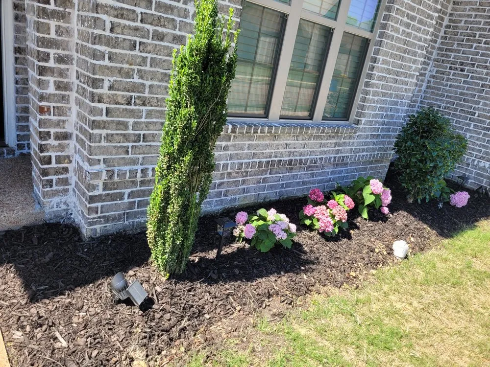 Custom yard cleanup service for year-round maintenance in Hernando, MS by McLennan Cutting Edge Lawn Care & Landscaping