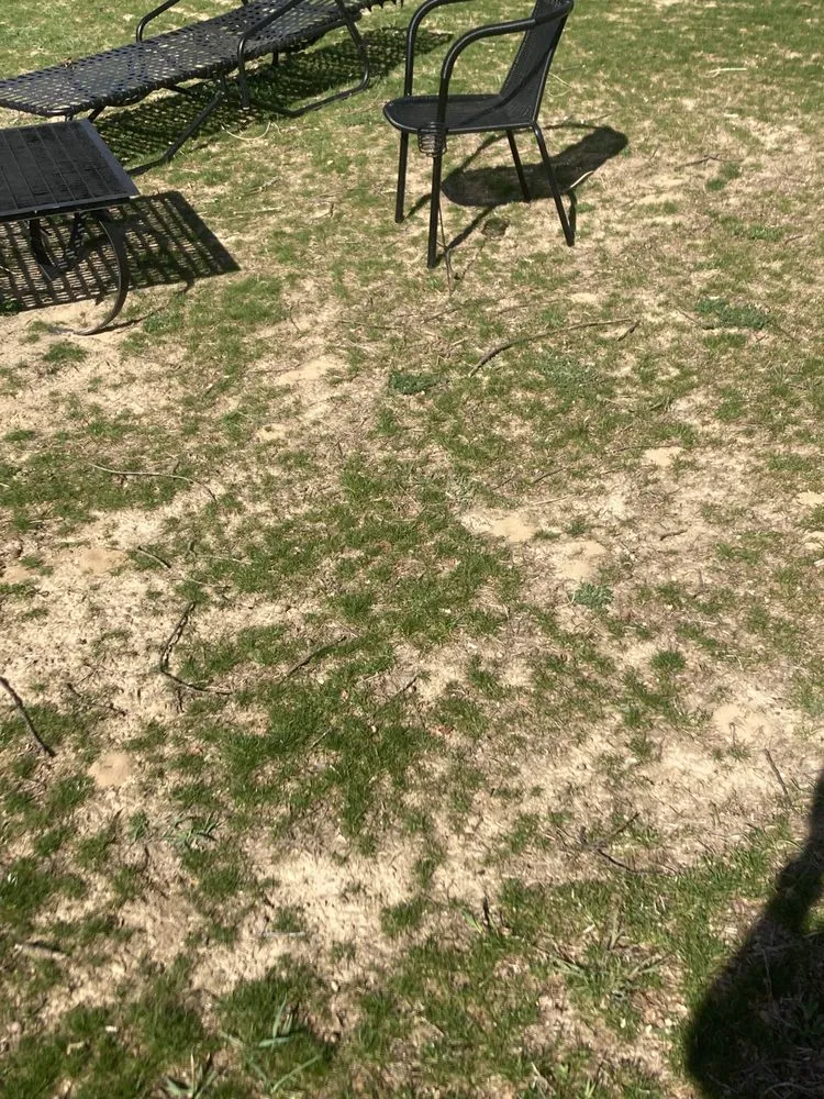 Custom landscaping services in Manchester, MI by McLennan Landscape & Nursery