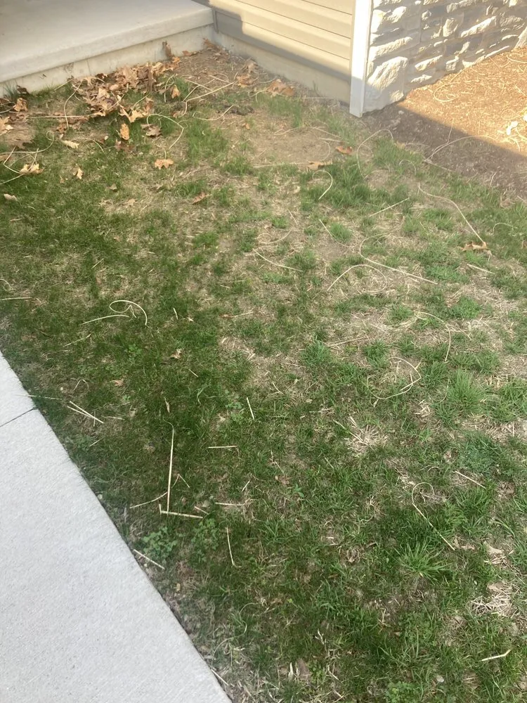 Trusted landscape design in Manchester, MI - McLennan Landscape & Nursery