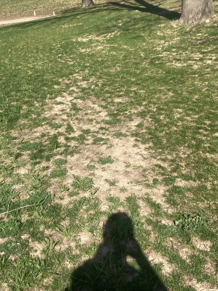 Trusted lawn mowing service in Manchester, MI by McLennan Landscape & Nursery