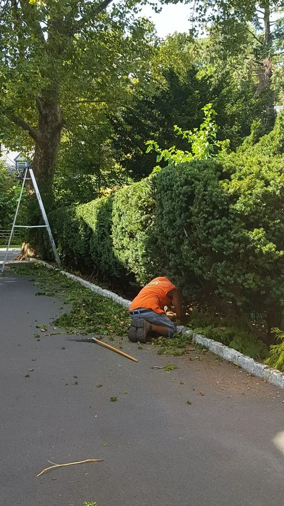 Expert outdoor landscaping experts serving Plymouth Meeting, PA - McLeod's Landscaping