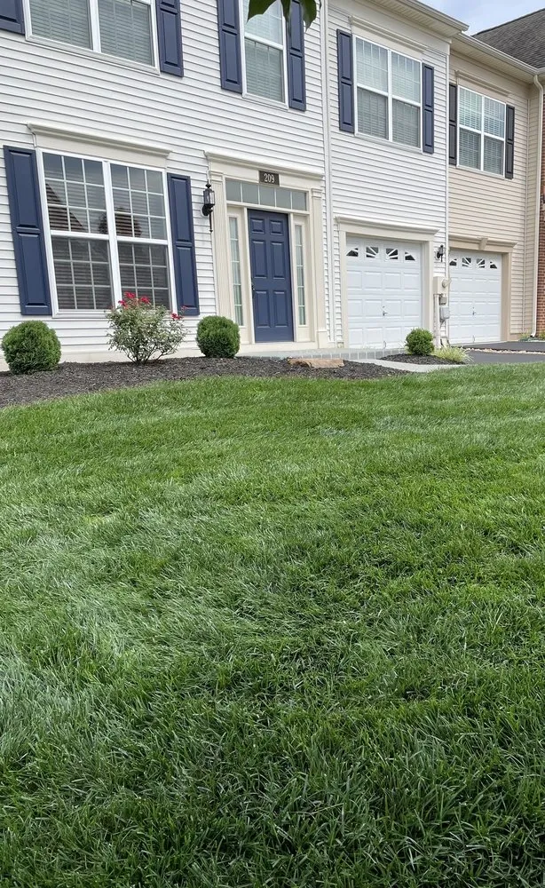 Local yard cleanup service for homes across Winchester, VA - Mcleods Lawn Care Services & Snow Removal