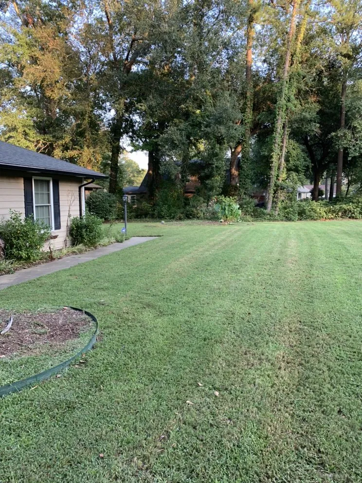 Affordable lawn care service for outdoor upgrades in Sumter, SC by Mcleod’s lawn care