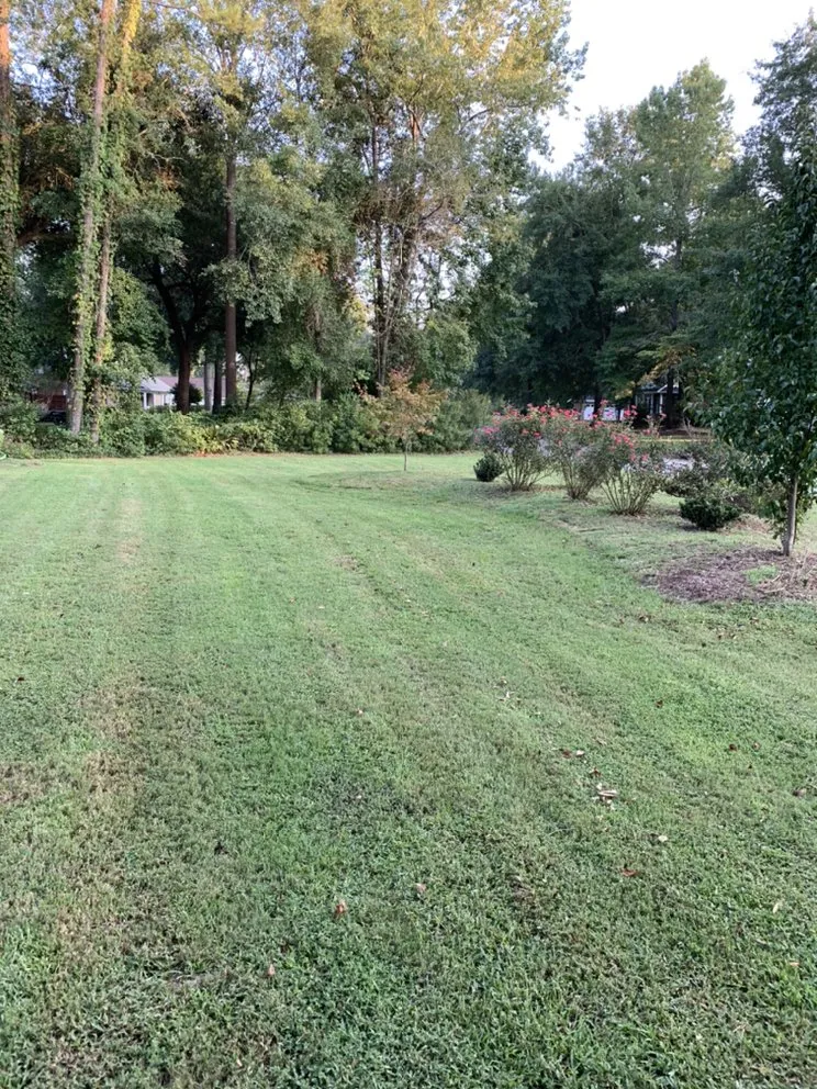 Professional lawn care service for beautiful yards in Sumter, SC by Mcleod’s lawn care