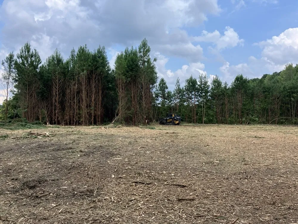 Trusted landscape design with custom design across Bolivia, NC - MCM Industries