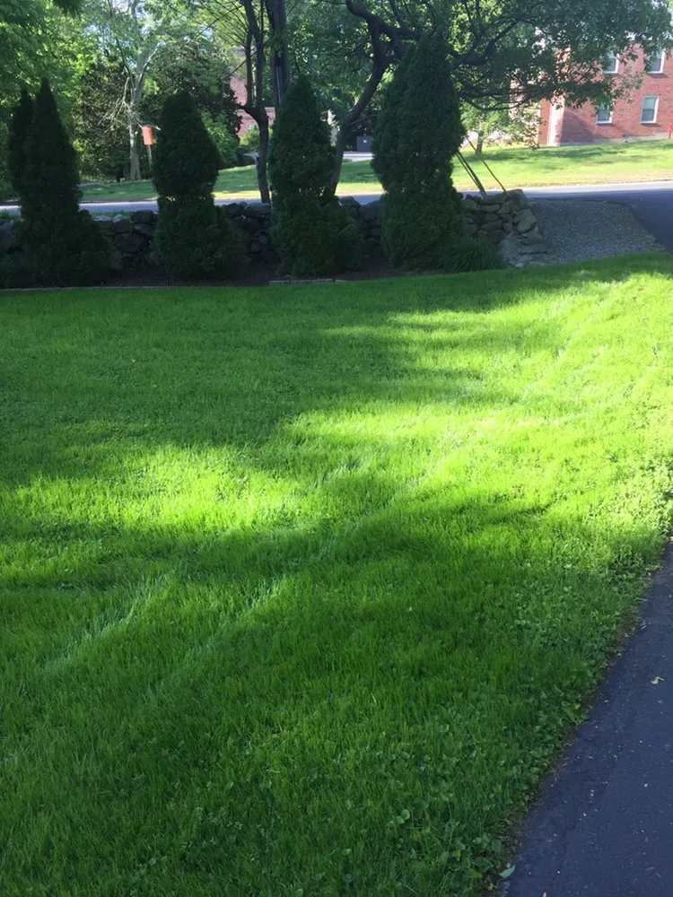 Expert landscape installation in Johnston, RI - MCM Landscape Management