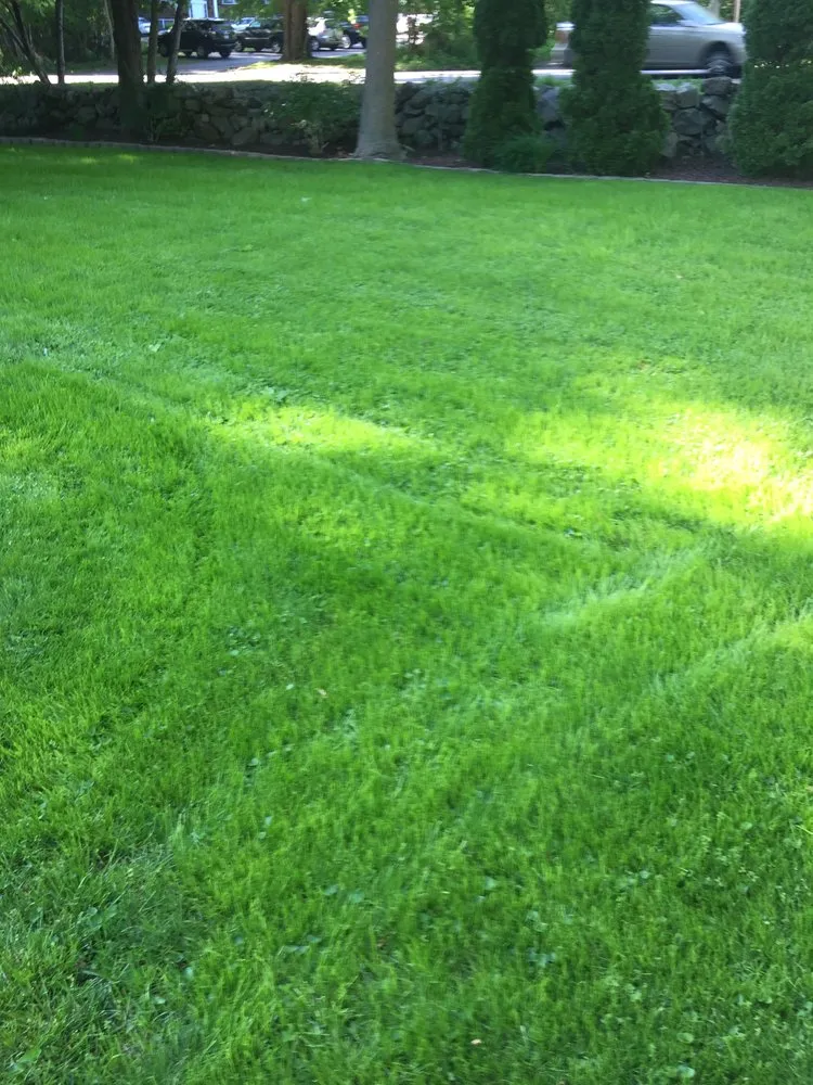 Top-rated landscape design in Johnston, RI - MCM Landscape Management