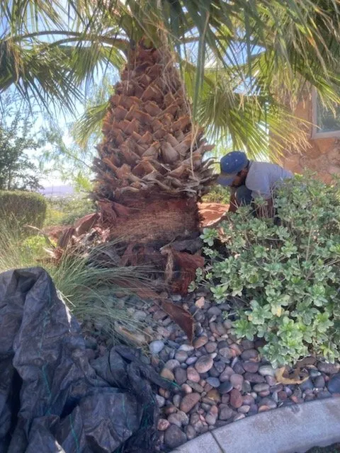 Local garden landscaping experts serving St. George, UT - Mcm Landscaping