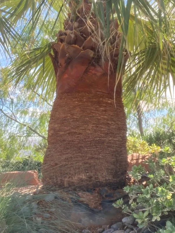 Custom residential landscaping in St. George, UT - Mcm Landscaping