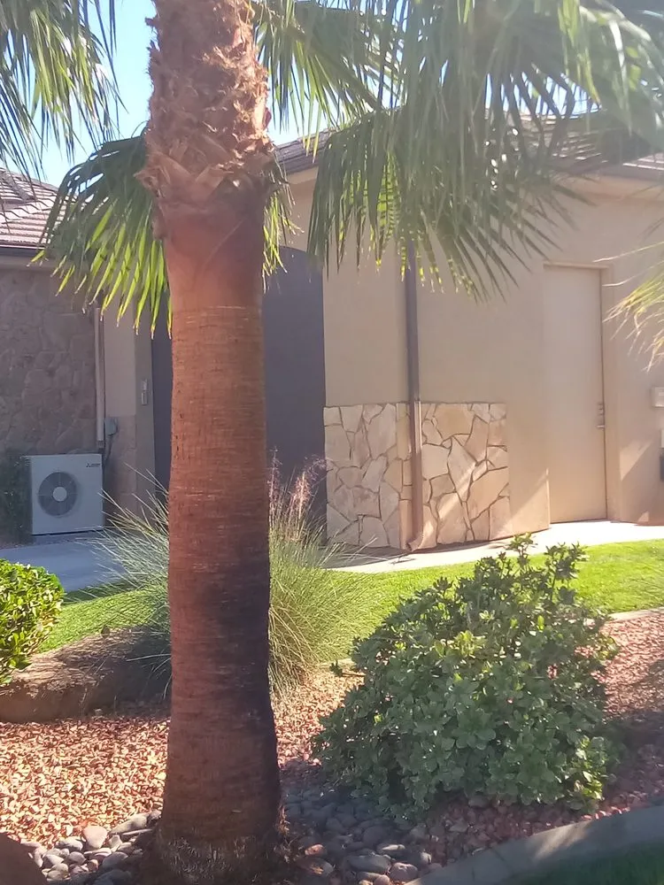 Expert landscape design for outdoor upgrades across St. George, UT - Mcm Landscaping