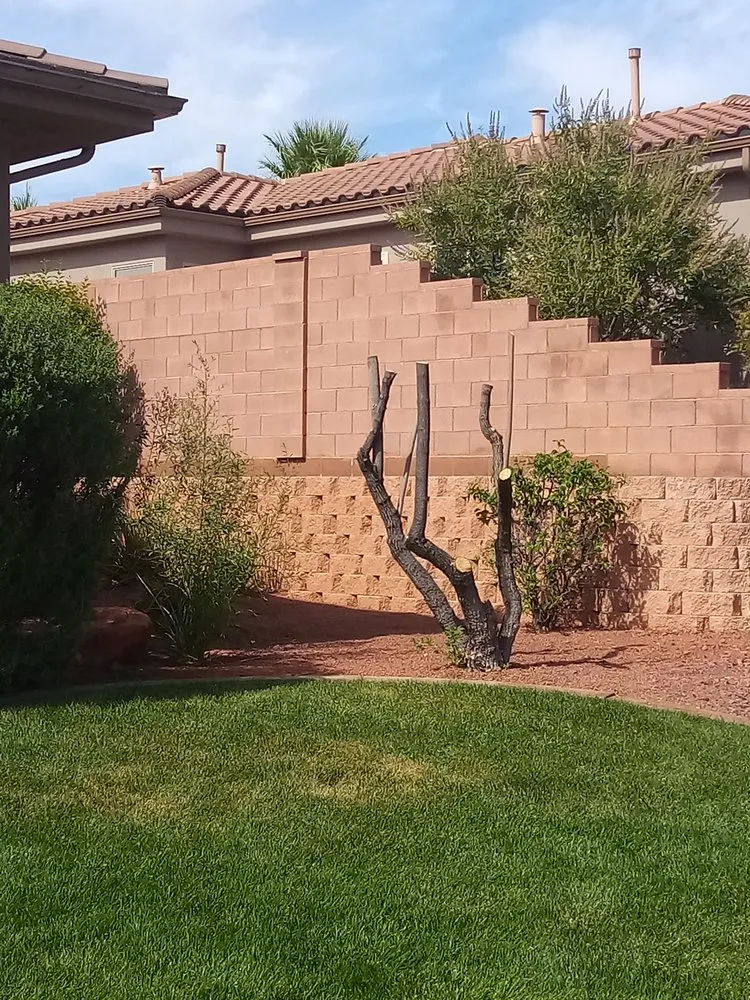 Local outdoor landscaping in St. George, UT - Mcm Landscaping