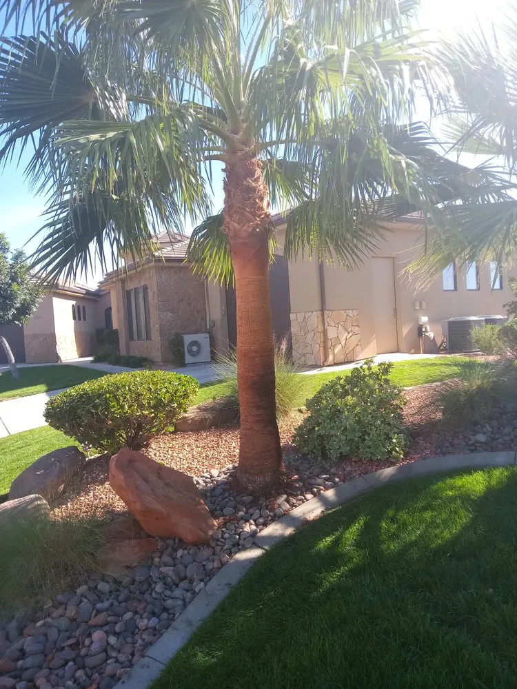 Reliable lawn mowing service experts serving St. George, UT - Mcm Landscaping