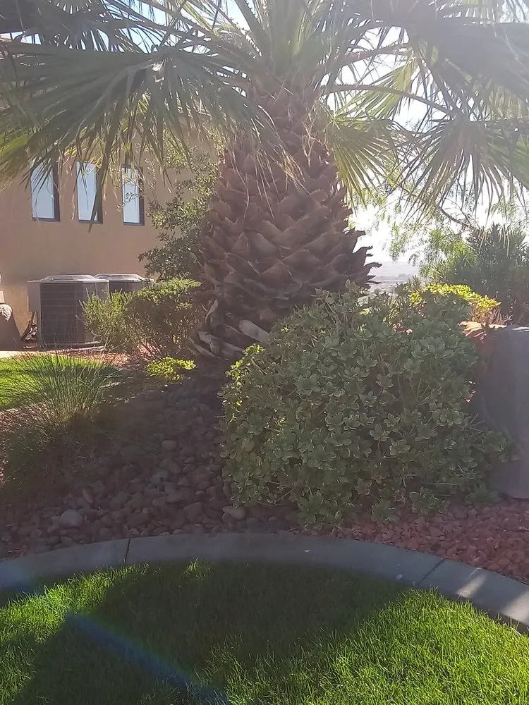 Local garden landscaping in St. George, UT by Mcm Landscaping