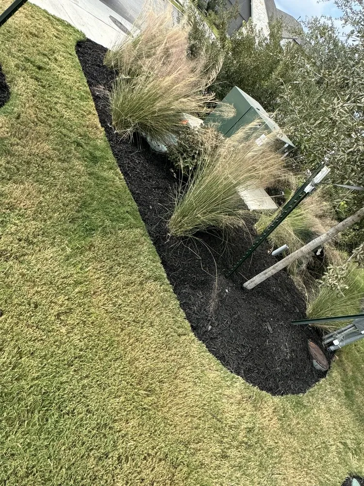 Reliable lawn care service near you in Spicewood, TX by MCM Lawn Care