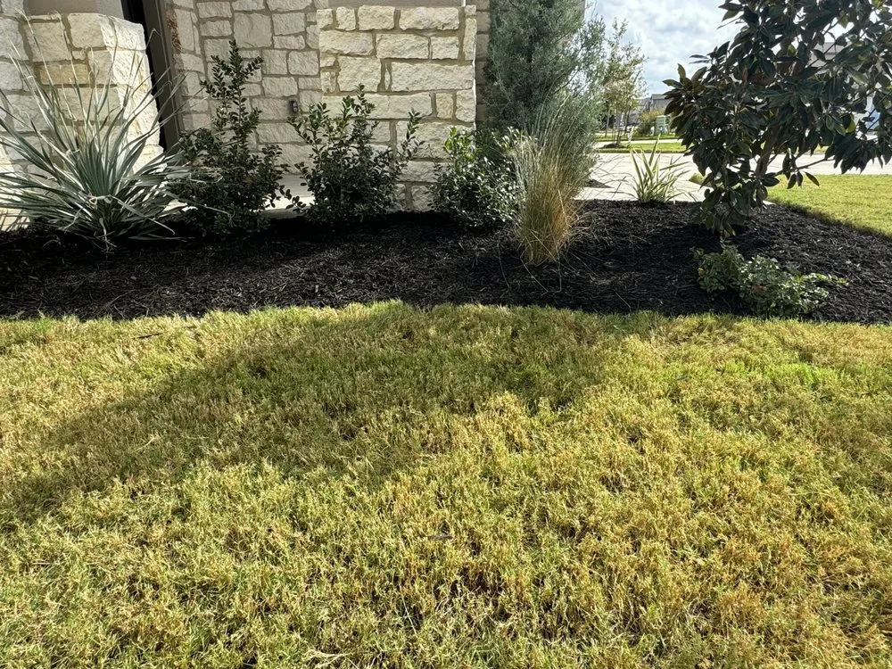 Trusted yard cleanup service in Spicewood, TX - MCM Lawn Care