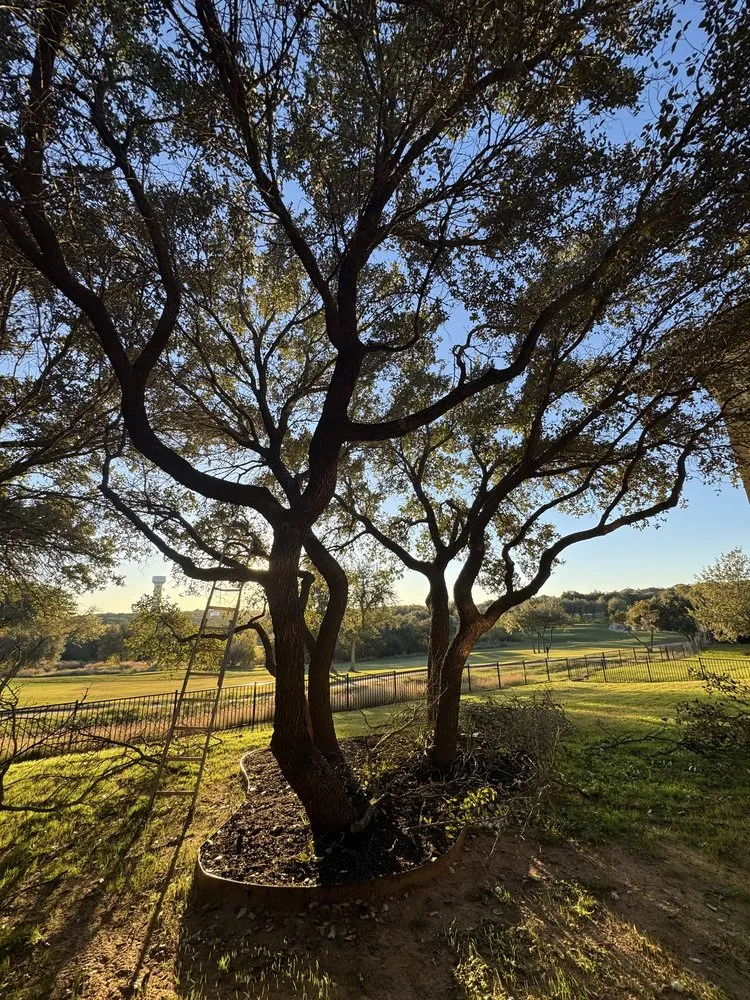 Trusted outdoor landscaping near you across Spicewood, TX - MCM Lawn Care
