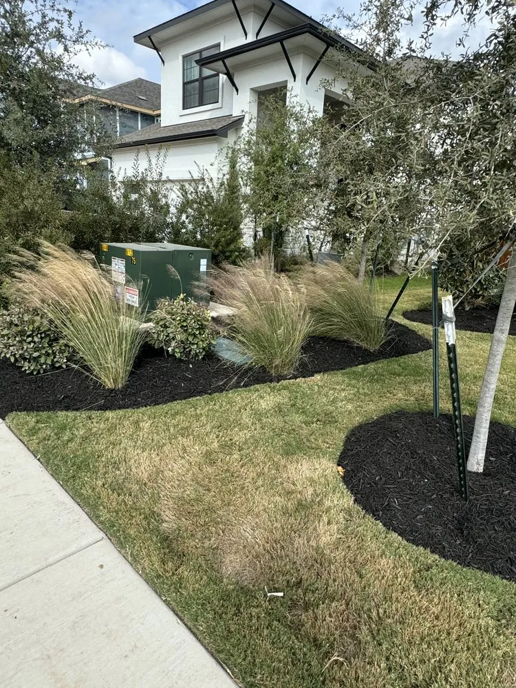 Trusted lawn care service in Spicewood, TX - MCM Lawn Care