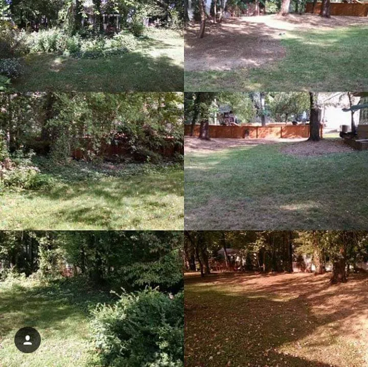 Trusted yard cleanup service with custom design in Mount Laurel, NJ by MCM Lawn Services