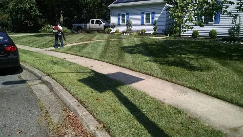 Local lawn care service experts serving Mount Laurel, NJ - MCM Lawn Services