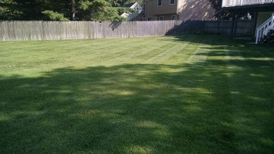 Affordable residential landscaping for residential properties across Mount Laurel, NJ - MCM Lawn Services