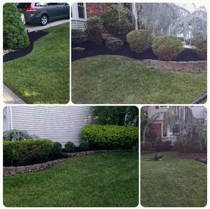 Professional lawn care service for year-round maintenance across Mount Laurel, NJ - MCM Lawn Services