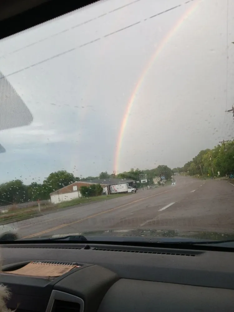 Top-rated lawn care service near you across Huntingdon, TN - Mcmackin Lawn Care