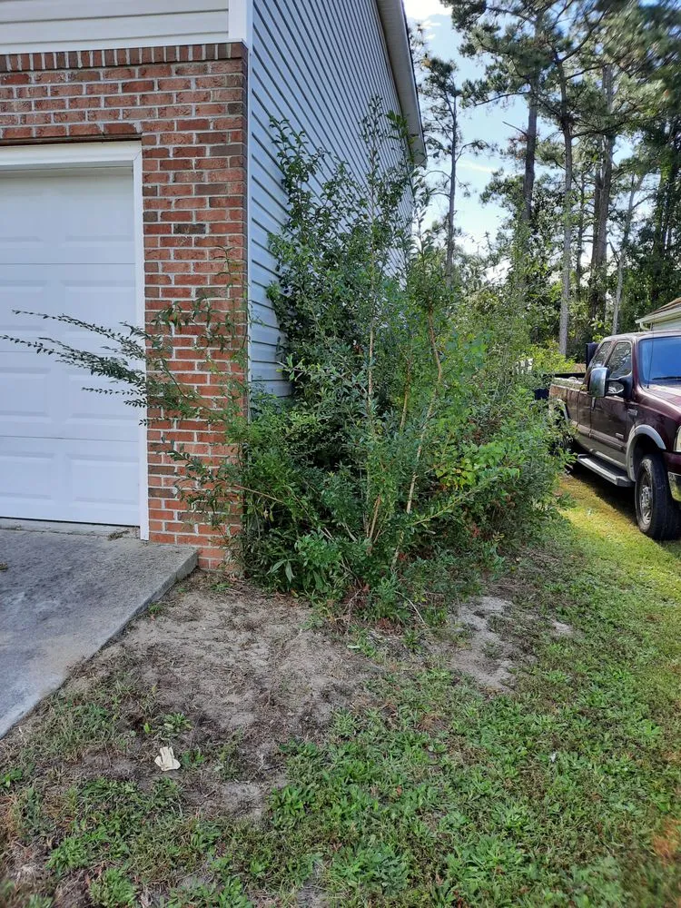 Top-rated landscaping services in Leland, NC by McMahan Property Management