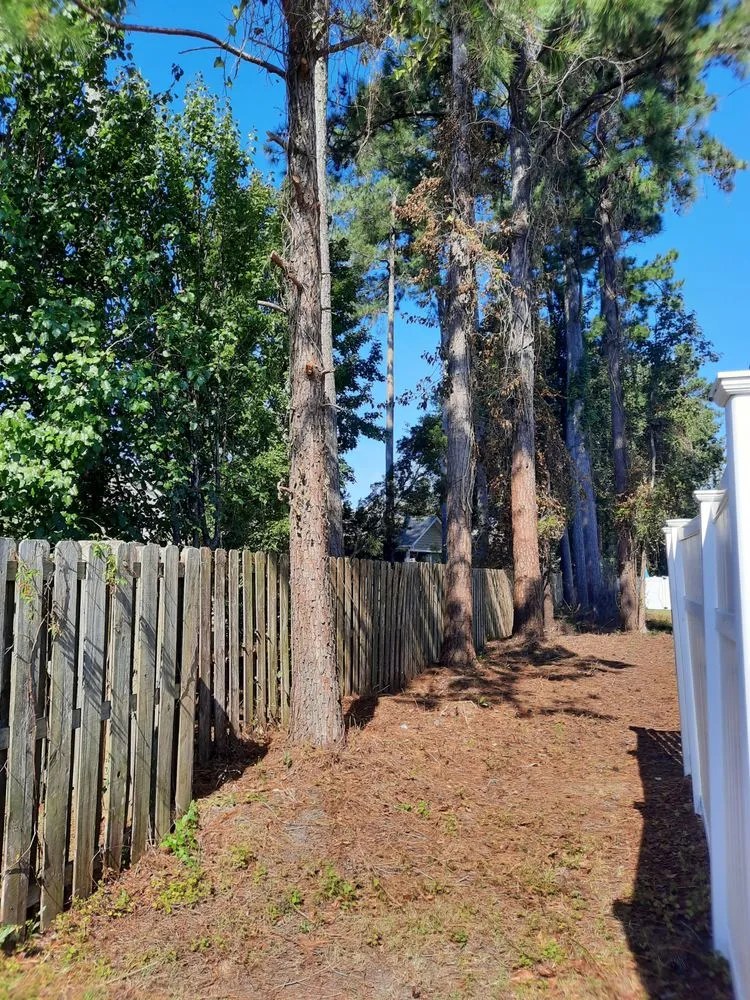 Reliable lawn mowing service in Leland, NC by McMahan Property Management