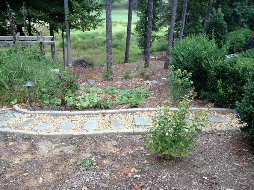 Reliable lawn care service for beautiful yards across Hickory, NC - McMahan Services