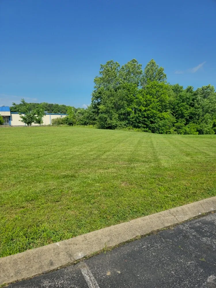 Top-rated landscape design for residential properties in Waverly, TN by Mcmahans Lawn Service