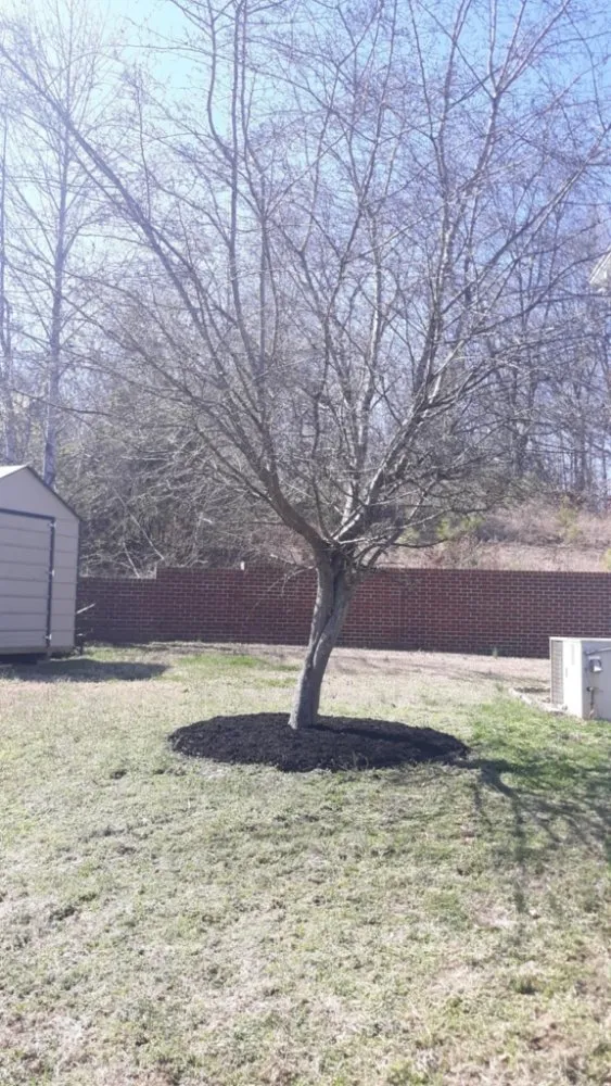 Reliable outdoor landscaping experts serving Waverly, TN - Mcmahans Lawn Service