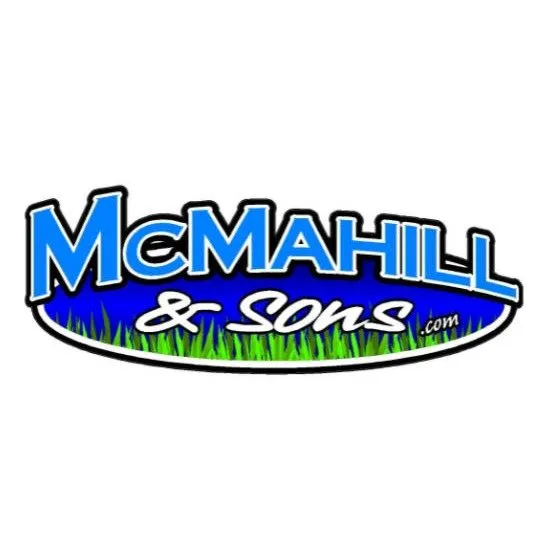 Trusted yard cleanup service in East Peoria, IL by McMahill and Sons Construction