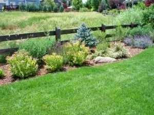 Expert residential landscaping for beautiful yards across Indian Hills, CO - McMahon Landscape
