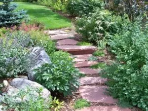 Professional lawn care service experts serving Indian Hills, CO - McMahon Landscape